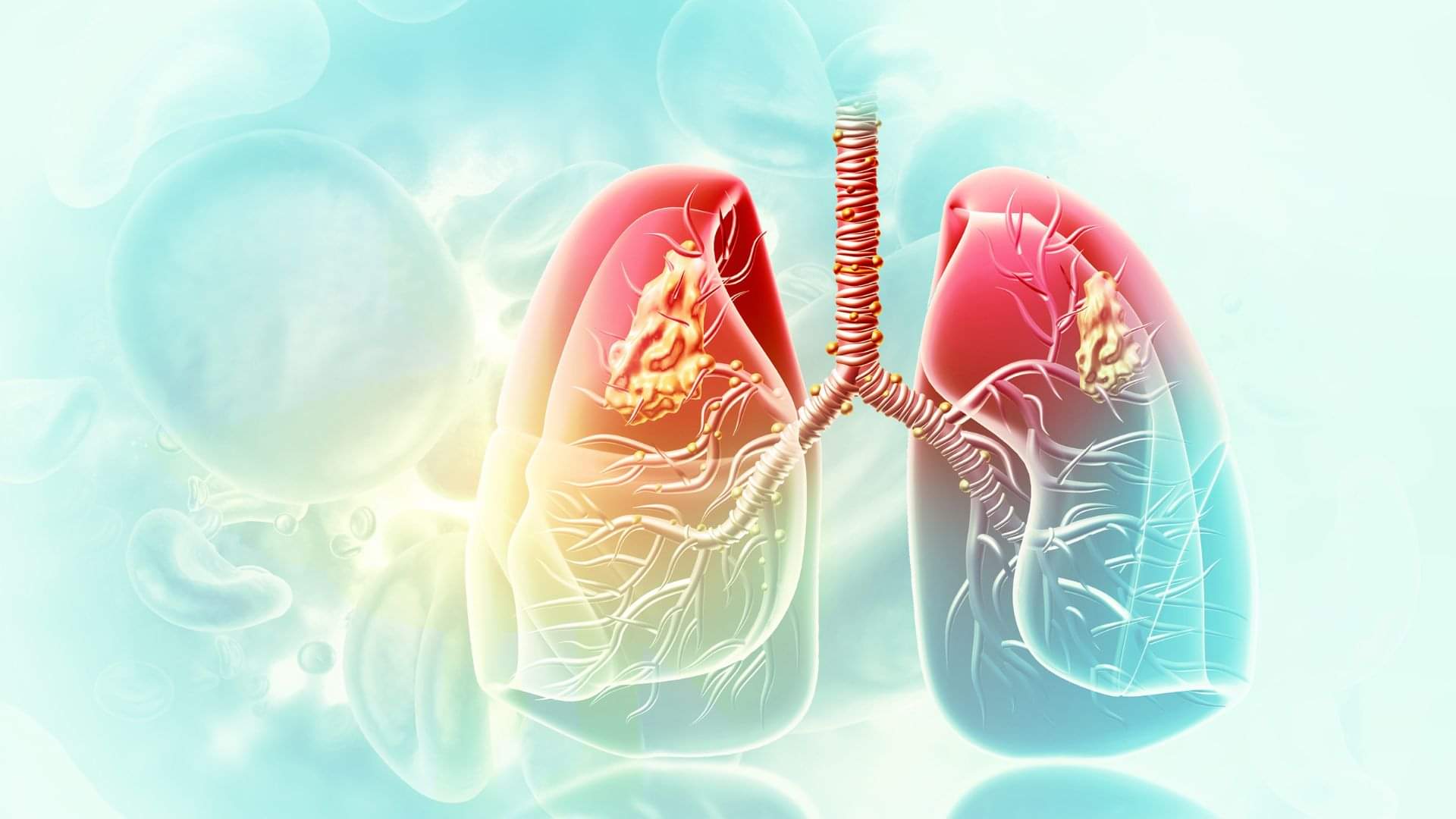 Health Tips Do Not Ignore These Symptoms Related to Lung Could Be Sign of Serious Diseases