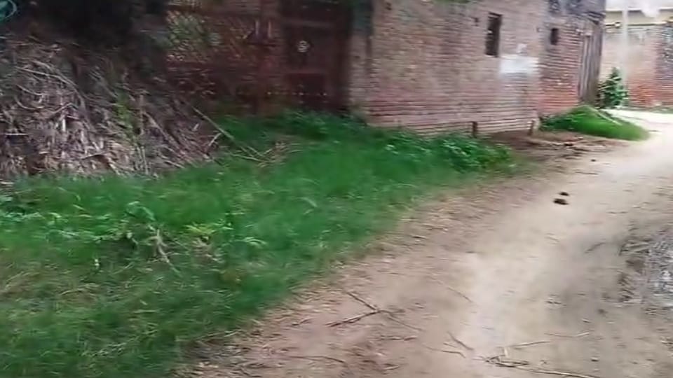 Bijnor Murder: Wife stabbed to death by drunk husband in Najibabad, accused arrested