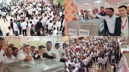 Moradabad Bar Election: 2423 advocates are voting for 21 posts, counting of votes will be done on July 30