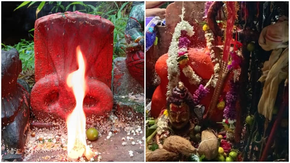 Nag Panchami 2025 Over 5 Lakh Devotees Reach Nagdwar Cave After Climbing 7 Hills Amid Rain