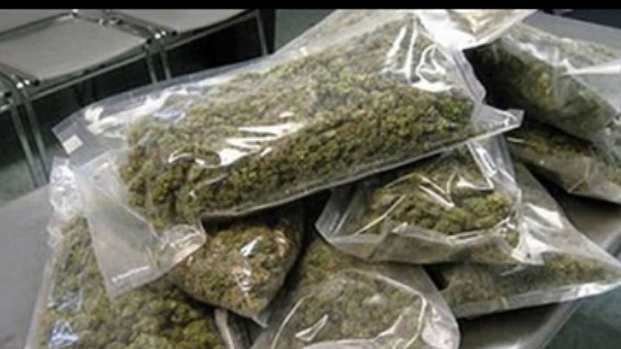 Delhi: About 1 kg of marijuana recovered from a woman who returned from Bangkok