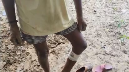 Kanpur Terror of biting monkeys half dozen injured in three days Pradhan said no action taken after complaint