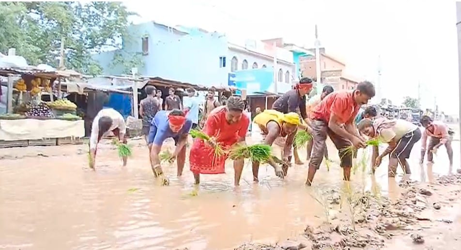 सड़क पर रोपी गई धान