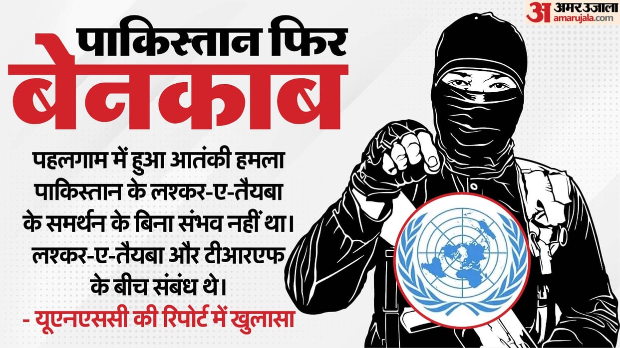 UNSC saidTRF had posted picture of Pahalgam attack site, claimed responsibility twice