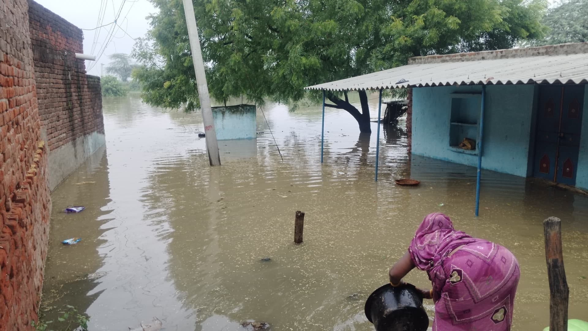 Chambal river crossed danger mark water filled in many villages houses submerged people scared of flood