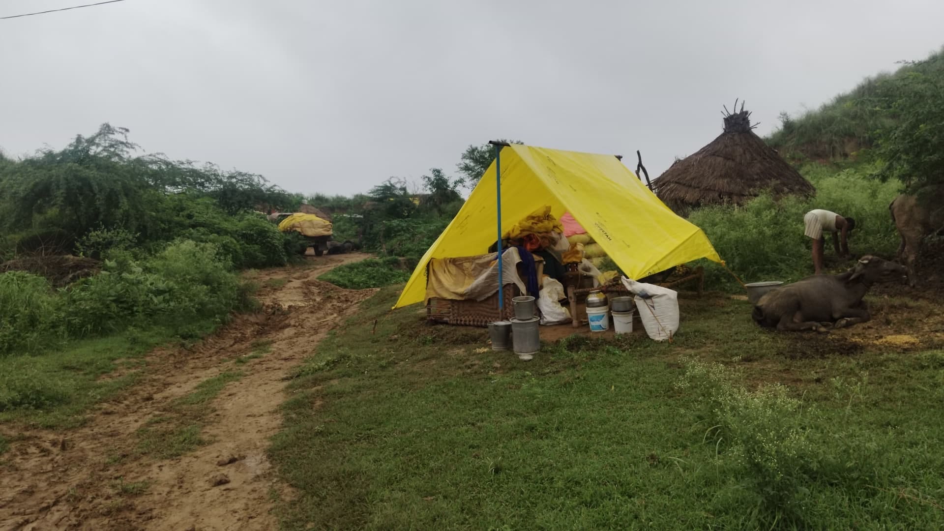 Chambal river crossed danger mark water filled in many villages houses submerged people scared of flood