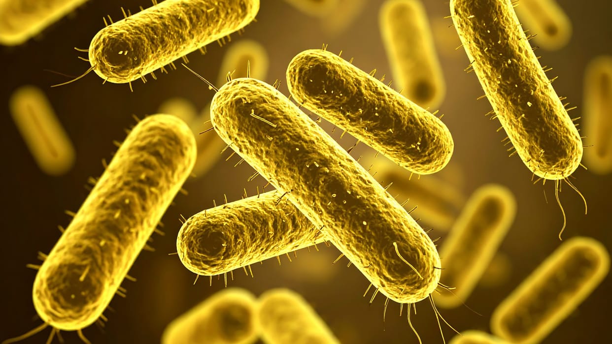 This bacteria can convert heavy metals into gold. Check details here