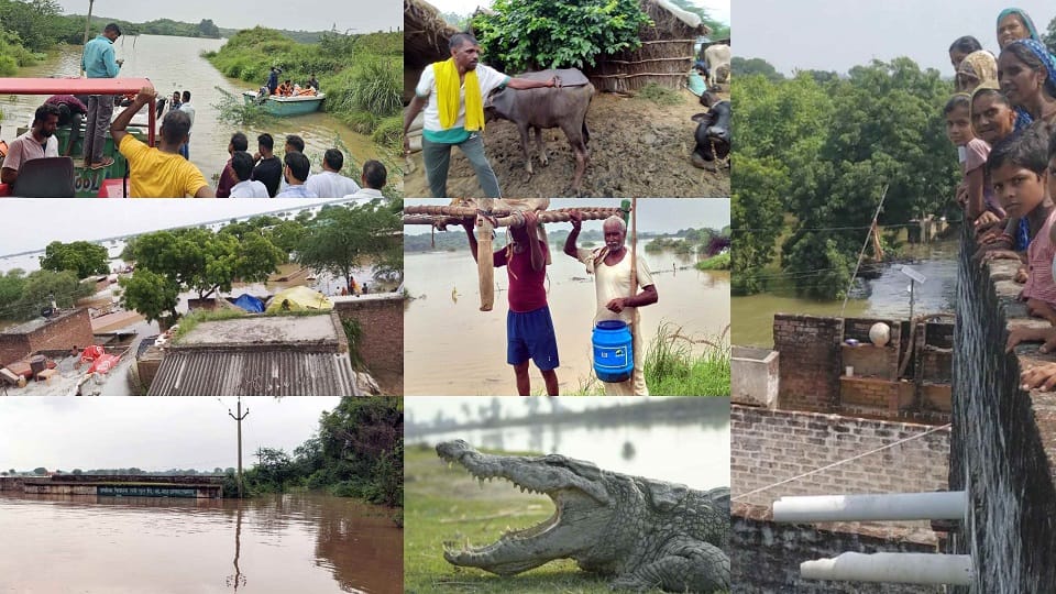 flood in UP  horrific Photos Crocodiles entered the village injured a buffalo houses evacuated