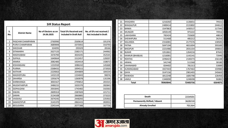 SIR Bihar: ड्राफ्ट वोटर लिस्ट से हटे वोटरों में सबसे ज्यादा पटना वाले; किशनगंज से अधिक पूर्णिया के मतदाता कटे