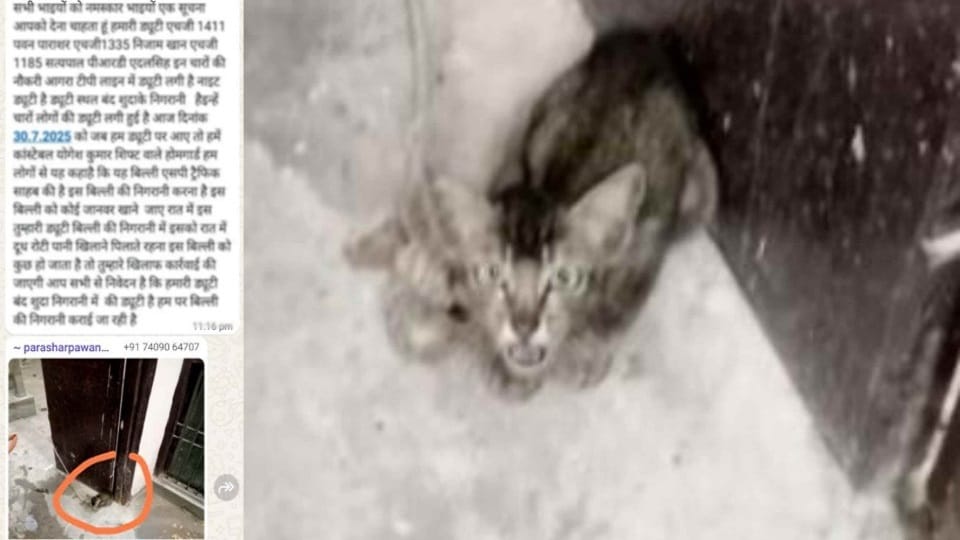 SP Traffic  cat an order to guard Home Guard did such an act that it is going viral