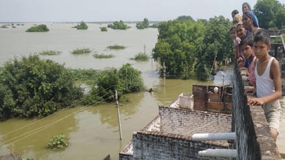 flood in UP &nbsp;horrific Photos Crocodiles entered the village injured a buffalo houses evacuated