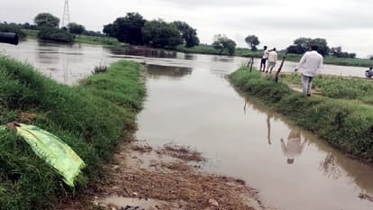 flood in UP &nbsp;horrific Photos Crocodiles entered the village injured a buffalo houses evacuated