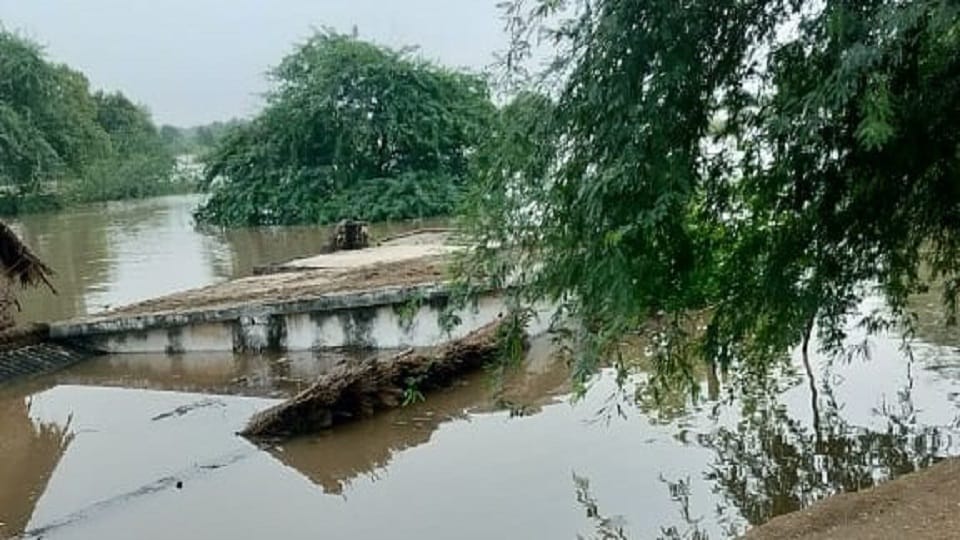 flood in UP  horrific Photos Crocodiles entered the village injured a buffalo houses evacuated