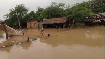 flood in UP &nbsp;horrific Photos Crocodiles entered the village injured a buffalo houses evacuated