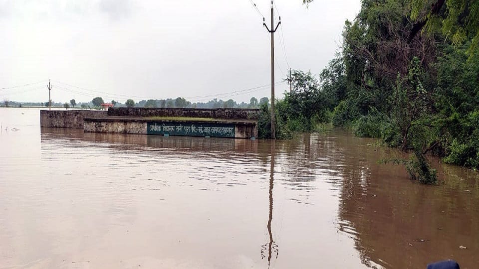 flood in UP  horrific Photos Crocodiles entered the village injured a buffalo houses evacuated