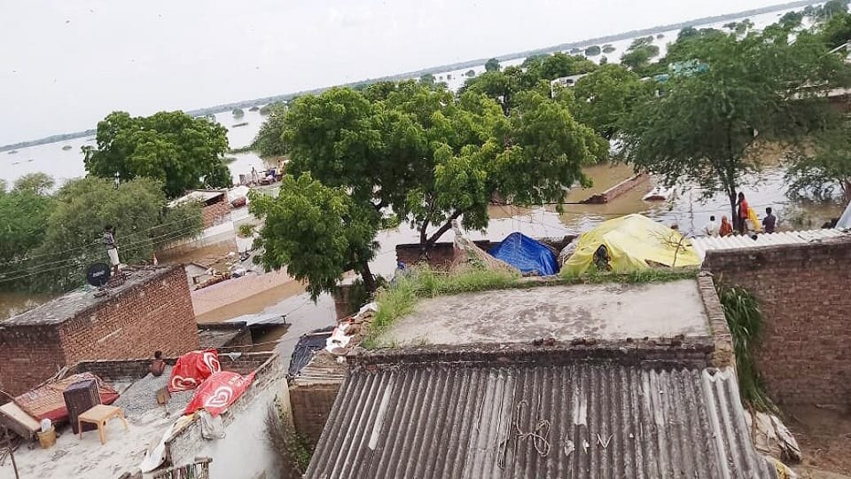 flood in UP &nbsp;horrific Photos Crocodiles entered the village injured a buffalo houses evacuated