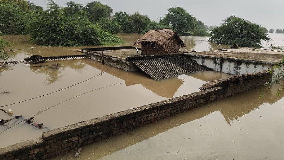 flood in UP &nbsp;horrific Photos Crocodiles entered the village injured a buffalo houses evacuated