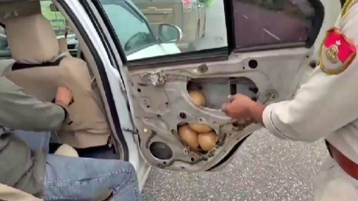 Jhalawar News: CBN seizes 6.6 kg illegal opium from car window; Three accused arrested