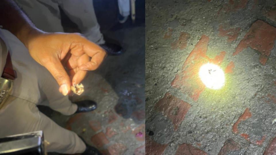 Meerut: Second Firing Incident in 2 Months at Farmer Leader’s House in Hastinapur; Panic Grips Village