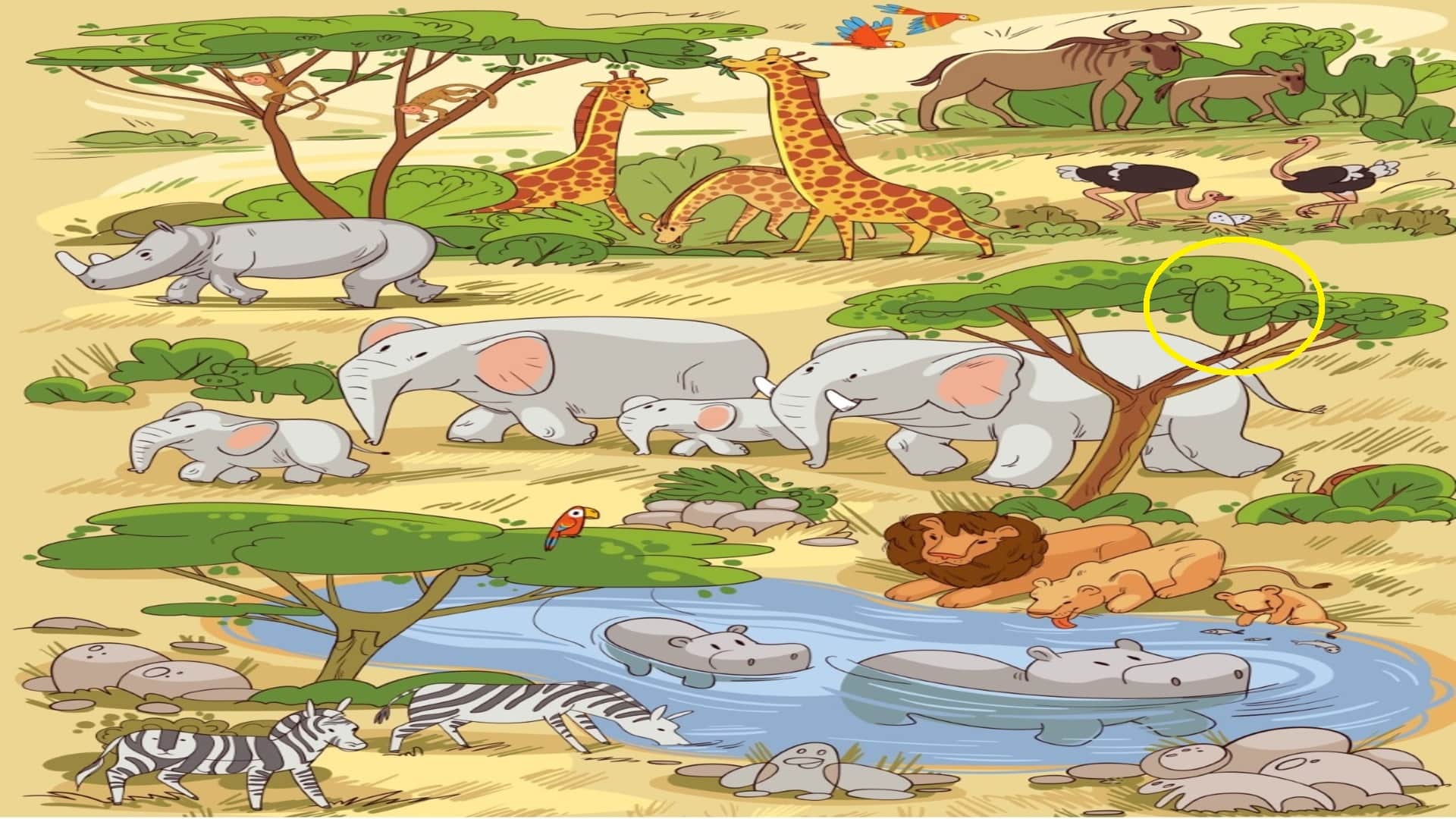 Optical Illusion IQ Test Brain Test If You Have Hawk Eyes Then Find chicken in 25 seconds