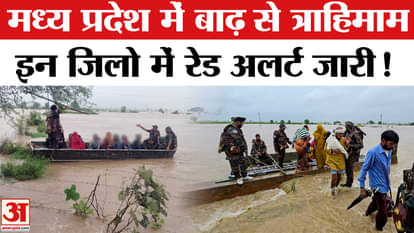 MP Heavy Rainfall Updates: Flood havoc continues due to heavy rains in Madhya Pradesh, red alert in many distr