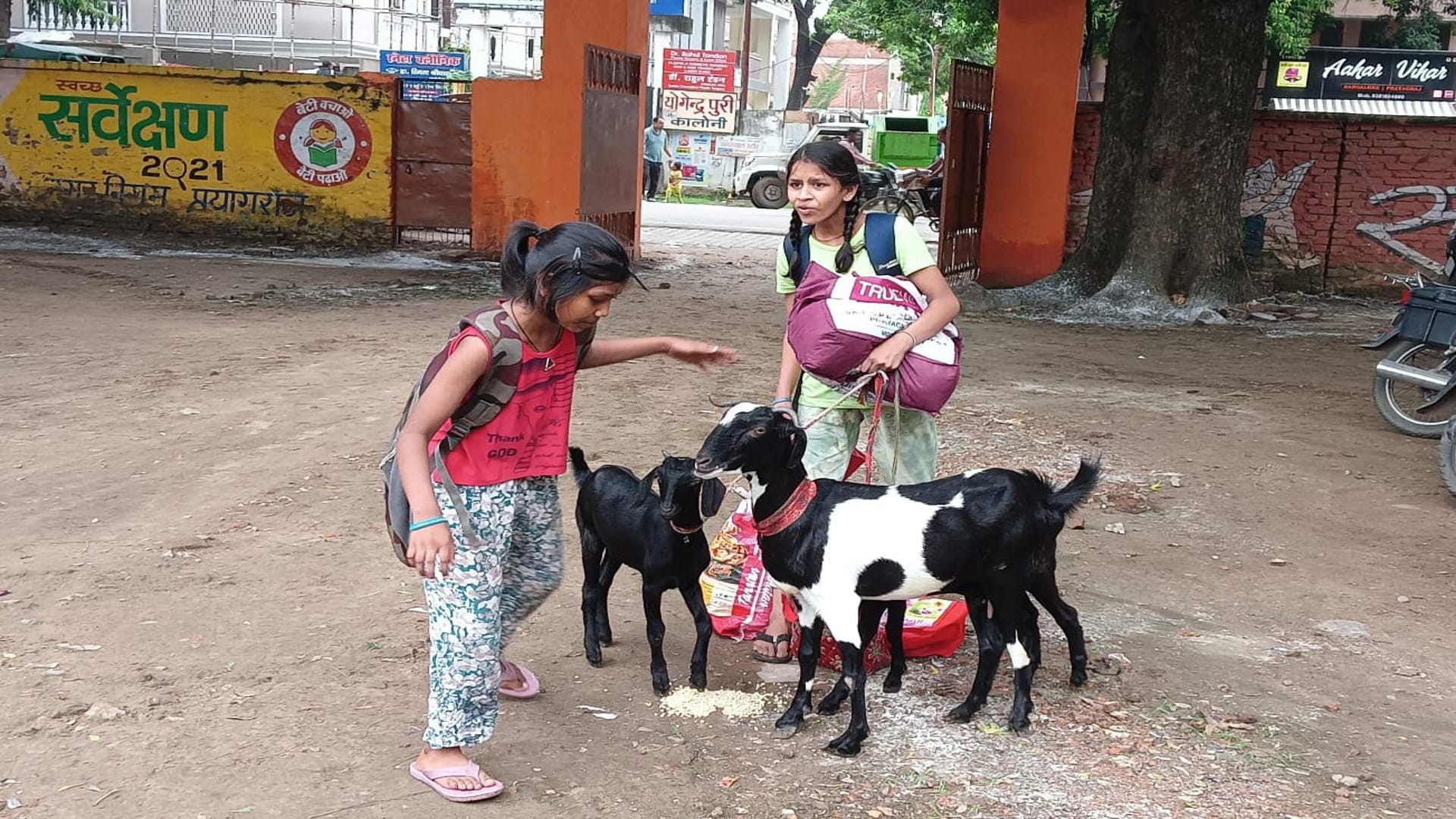 Prayagraj News Flood Ganga and Yamuna in spate rivers can cross danger mark anytime