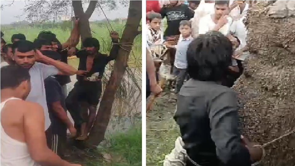People tied drug addict to tree and beat him up in Ghaziabad