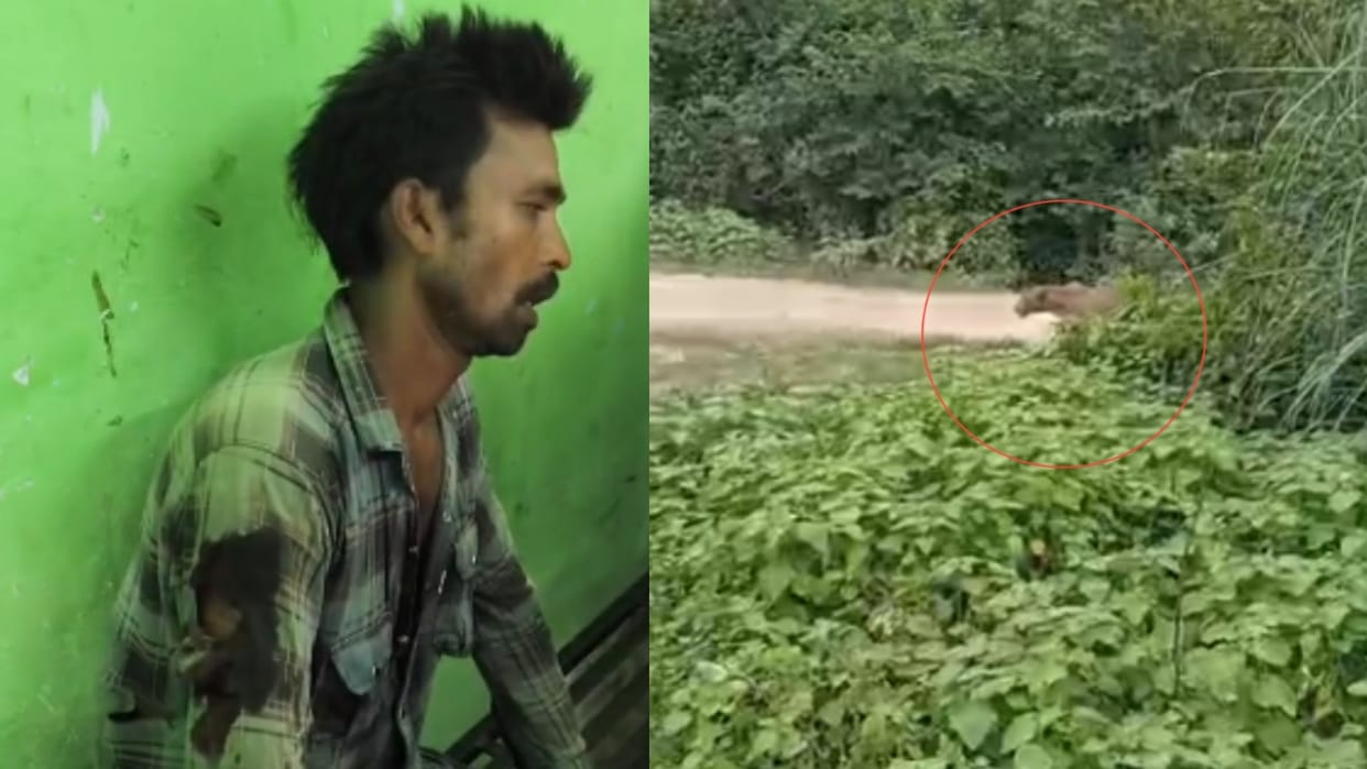 Leopard attacks young men working field referred district hospital critical condition