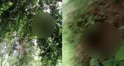 Hardoi Head of missing youth found hanging from tree torso lying on ground wife filed missing person report