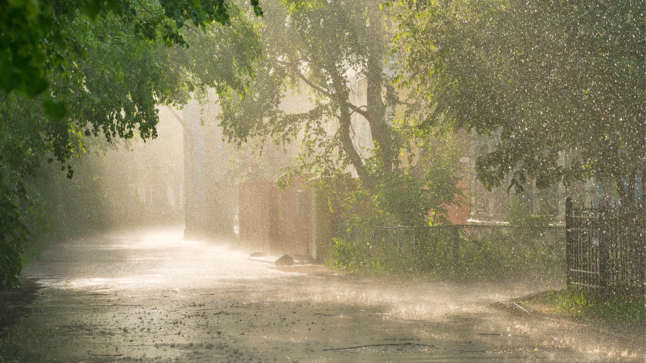 Indore Weather Forecast Today: IMD Rain Prediction for August Monsoon Report News in Hindi