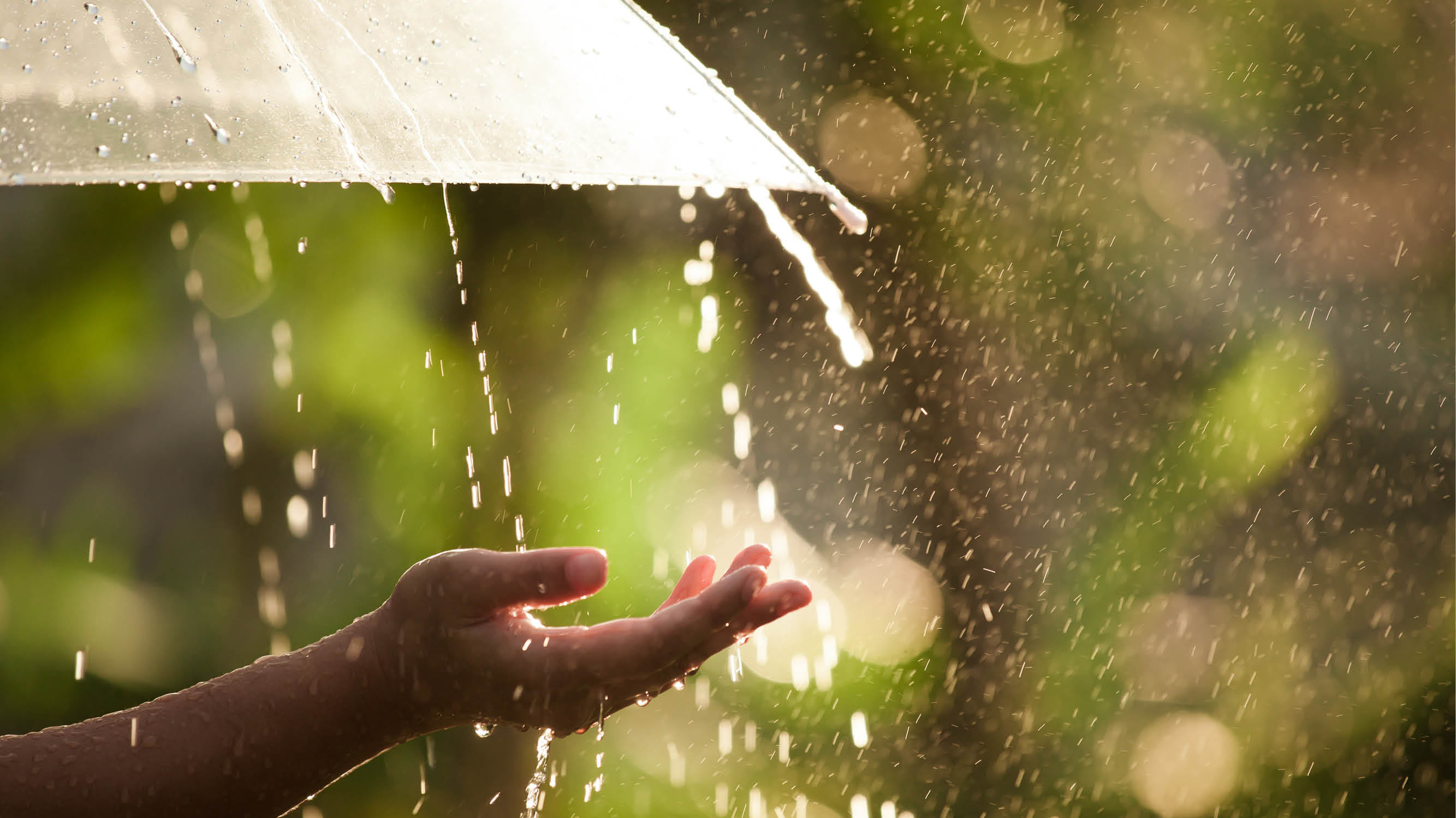 Indore Weather Forecast Today: IMD Rain Prediction for August Monsoon Report News in Hindi