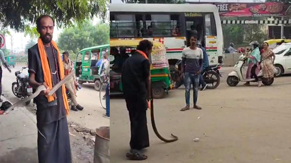 Kanpur: Drunk snake charmer did high voltage drama, scared people with snake