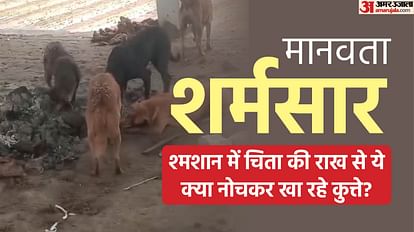 Dead bodies of dead dogs: Dogs seen on the ashes of the pyre in the cremation ghat, the official watching the viral video said- this ... Dogs Eating Remains Near Pyre at Cremation Ground in Lalitpur