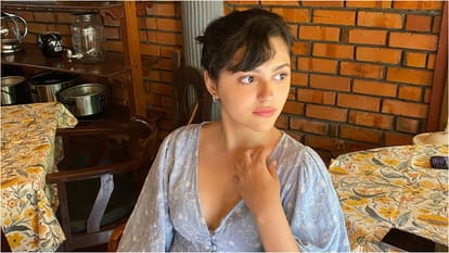 Saiyaara Actress Aneet Padda LinkedIn Profile Goes Viral and its giving glimpse into her life before stardom