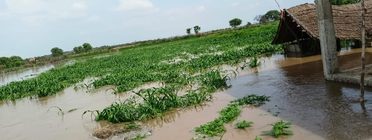 flood in up more than 20 thousand people affected due to flood in chambal