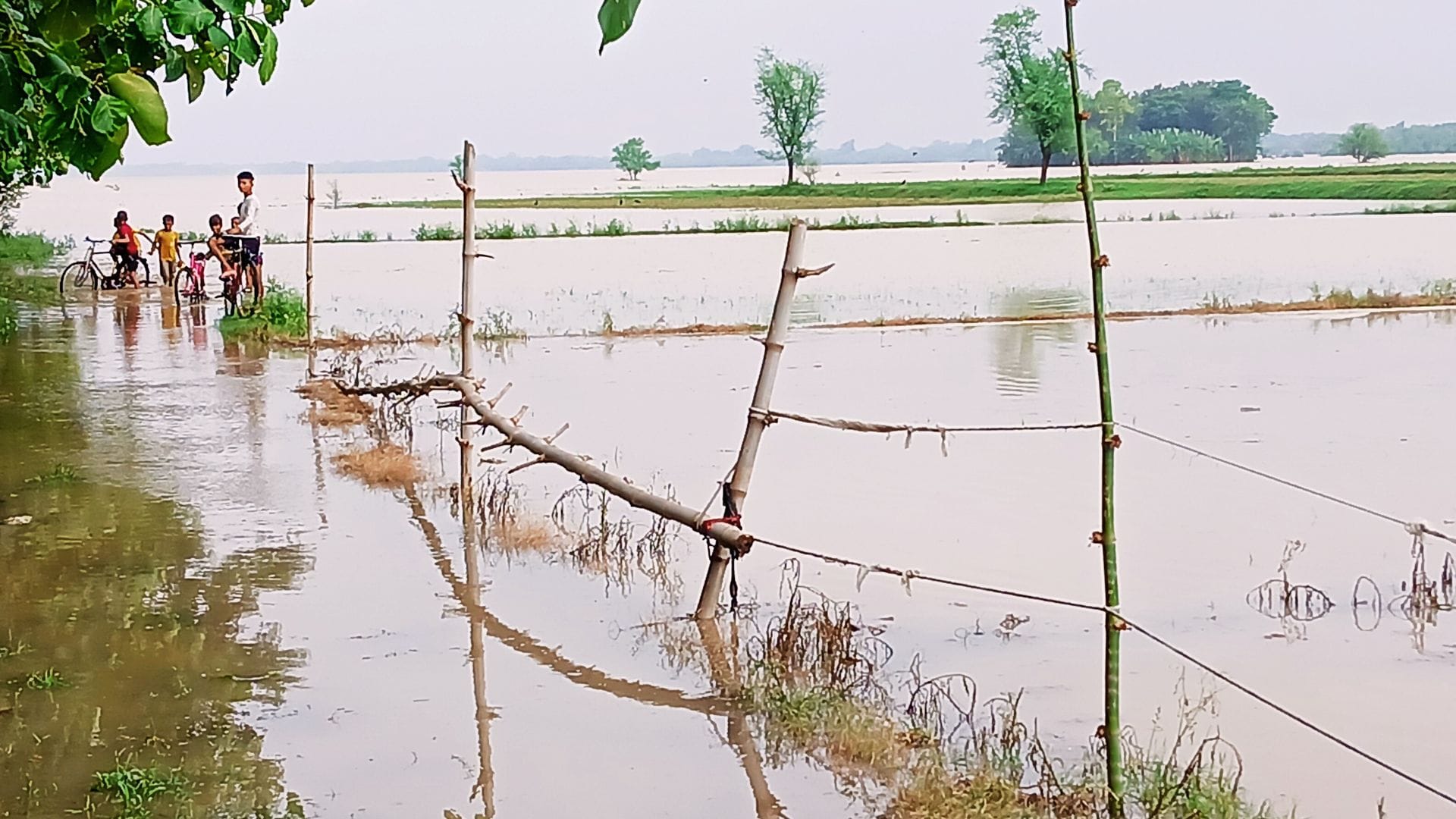 Flood in Varanasi water entered 46 schools classes of 11 thousand students will be conducted online