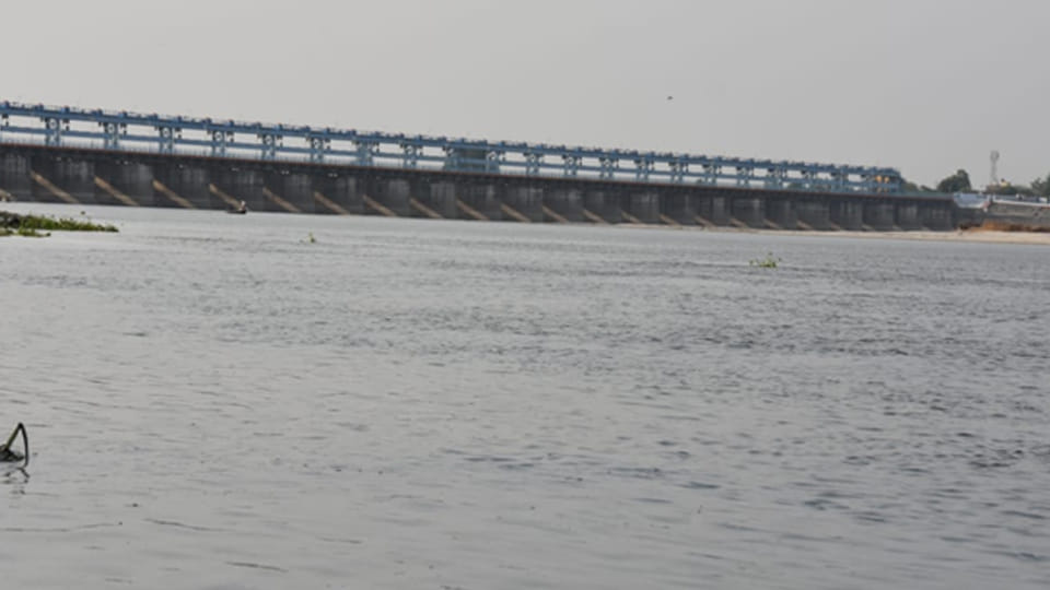 Kanpur: 1.56 lakh cusecs of water released by opening 30 gates of the barrage