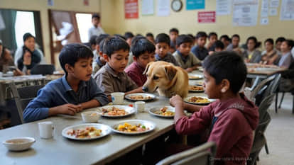 78 students given anti-rabies injections after dog contaminates mid-day meal; probe on