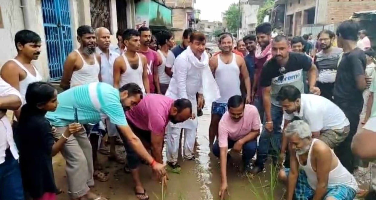 Unique protest against dilapidated road and waterlogging in Patori, villagers planted paddy on the road