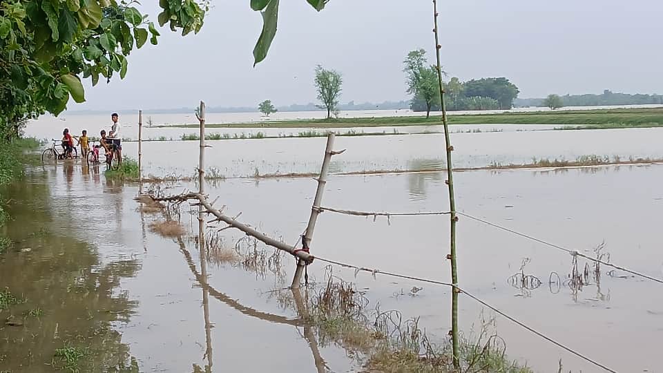 Varanasi Flood Alert: Ganga Water Crosses Danger Mark, Submerges Ghats and Reaches City Roads