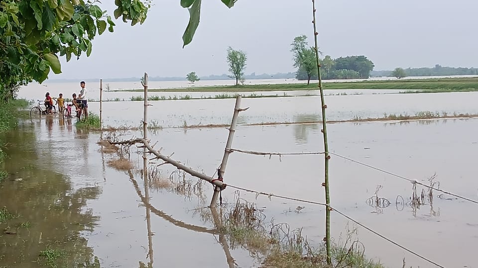Varanasi Flood Alert: Ganga Water Crosses Danger Mark, Submerges Ghats and Reaches City Roads