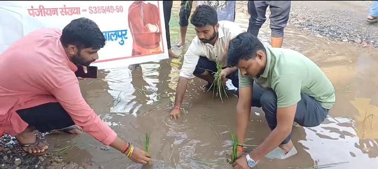 Bihar News: जलजमाव से नाराज एबीवीपी के कार्यकर्ताओं ने किया अनोखा विरोध, सड़क पर रोपी धान की फसल