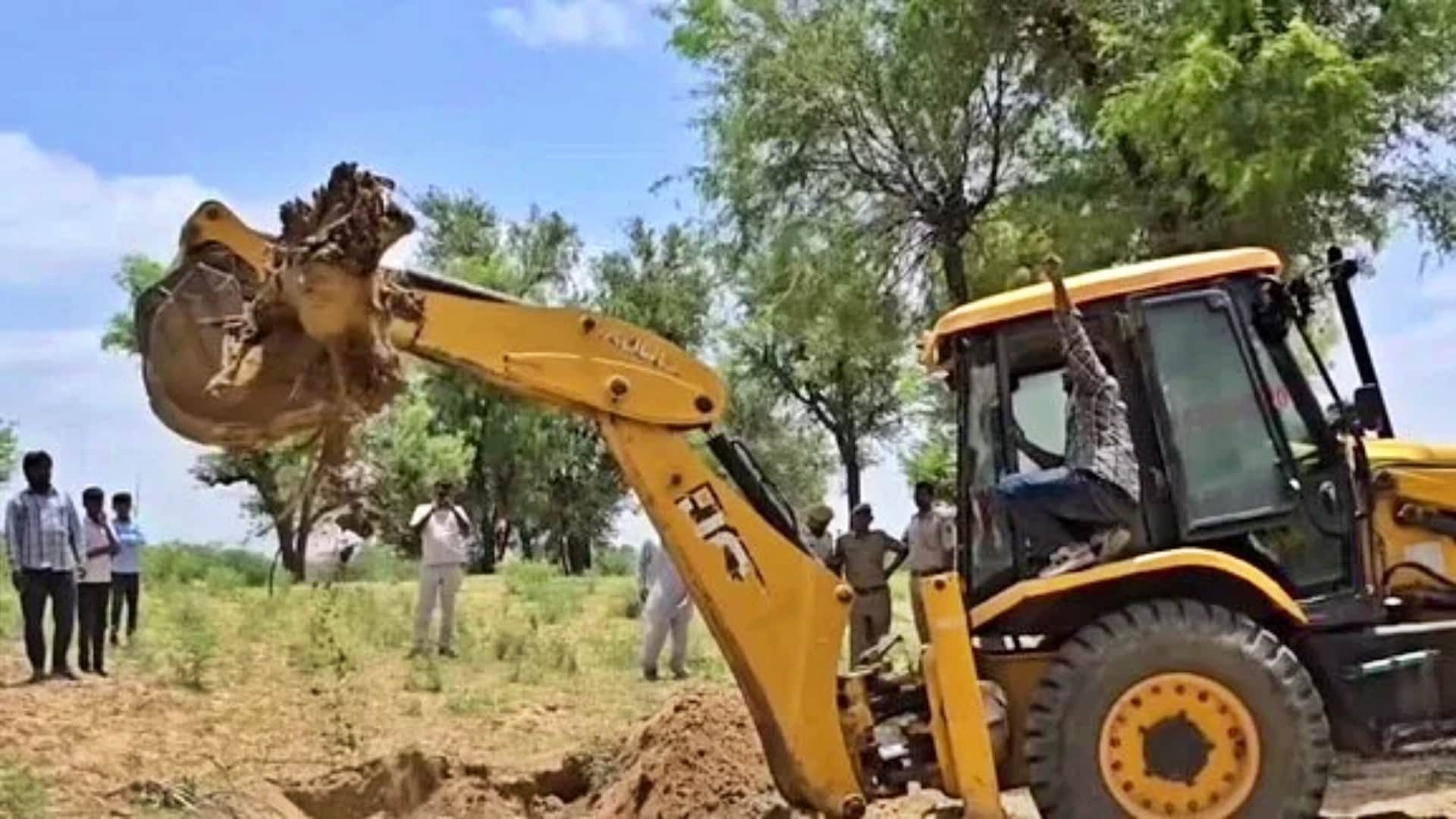 Barmer Tree Felling Row: Khejri Trees Illegally Cut Buried and Burnt, MLA Ravindra Bhati Protest