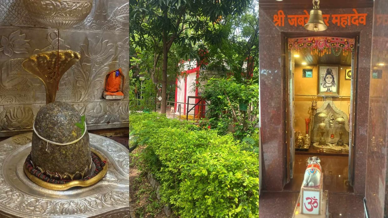 confluence of devotion and medicine Jabreshwar Mahadev temple located on Rau hill