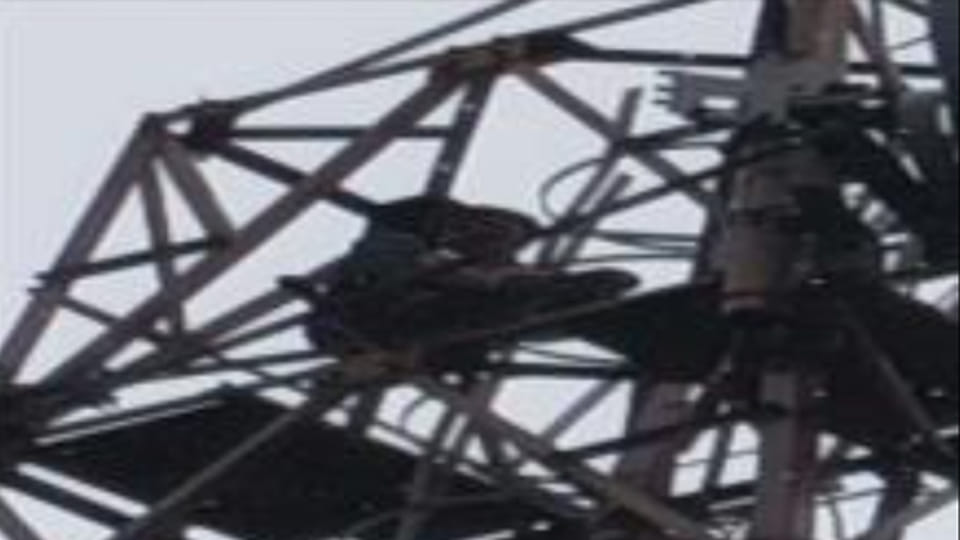 Kannauj: Youth climbed a mobile tower, came down after seven hours on the persuasion of police
