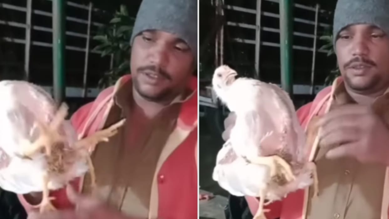 viral video people were stunned to see the four legged hen said in surprise extra leg piece