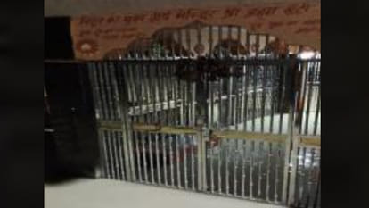 Kanpur: Ganga water level near warning point, river is in spate due to rain