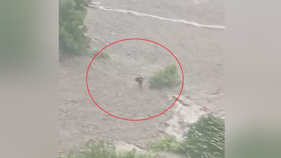 Uttarkashi Cloudburst Youth Video Viral was seen saving his life amidst And Flood in Kheerganga