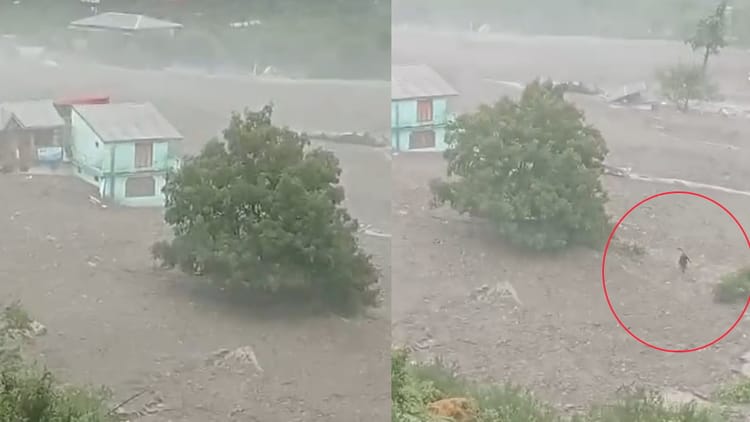 उत्तरकाशी में कुदरत का कहर: सैलाब के बीच जान बचाता दिखा शख्स, लोग बोले-भाग भाई भाग...और फिर; देखें वीडियो