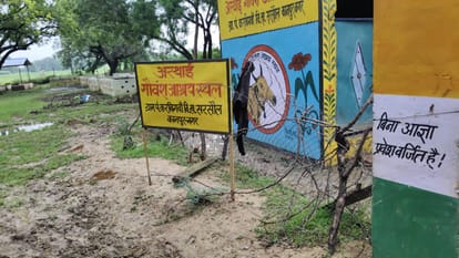 Kanpur Karbigwa Gaushala has become a death den cows are dying due to hunger and lack of treatment